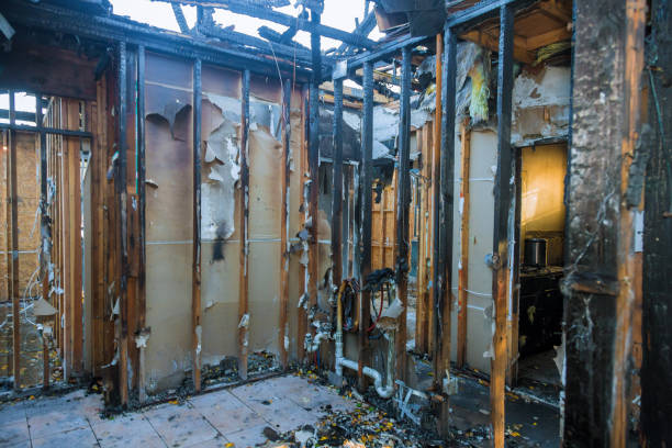 Professional Emergency Fire Cleanup technician working in Morton, WA